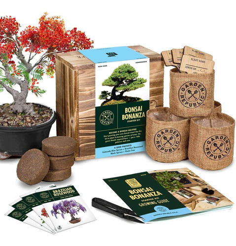 Bonsai Tree Seed Starter Kit  Mini Bonsai Plant Growi