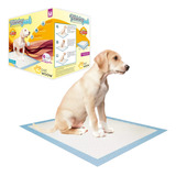 100 Toallas Entrenamiento Para Perros 45x60cm Petwoow R2986