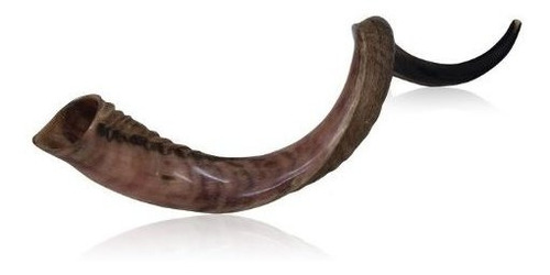 Medio Pulido Medio Natural Kudu Horn Shofar