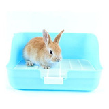 Wyok Rabbit Cage Litter Box Entrenador Para Adelgazar Facil 