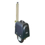 Kit Motor Con Rueda Abatible Derecho Marca Casit 600kg 50