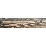 Postes Naturales De Eucaliptus Rusticos De 3 A 7 Mts