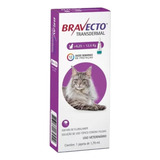 Antipulgas Bravecto Transdermal 6,25 A 12,5kg Gatos 500mg