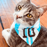 Bandana Pañuelo Perro Gato Mascota - Mundial Argentina Messi