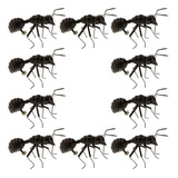 10pcs Ant Wall Sculpture Ornament 2024