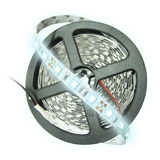 Tira Led 5050 60 Led/m 5m 12v Blanco Frio Intenso