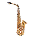 Saxofone Alto Dominante Dourado Com Semicase