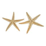 Estrella De Mar X2 Unidades Caracol Marino  Pez Souvenir 