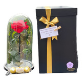  Rosa Preservada Cúpula Vidrio Ferrero Caja Regalo Leds Roja