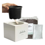 Kit Mini Plantio Ecologico Vaso Inteligente Temperos Broto