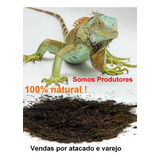 Substrato Para Répteis Iguanas Aranhas Fibra De Coco 5lts.