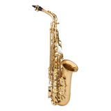 Sax Alto Schieffer Laqueado Mi Bemol Aprovado Ccb