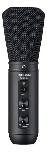 Micrófono De Condensador Tascam Tm-250u Usb-c, Color Negro
