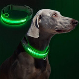 Collar Luz Led Para Perros Tallas S - M - L