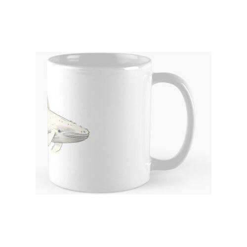 Taza Vinilo Decorativo Ballena Minimalista - The Sketchy Wha