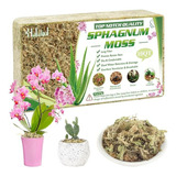 Musgo Sphagnum Natural Halatool 12oz Para Plantas - 10 Qt Pr