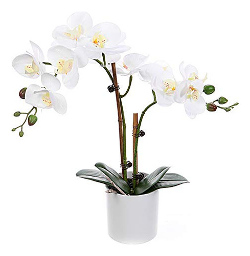Orquídeas Phalaenopsis De Seda Artificial Jarrón Bl