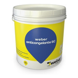 Weber Acelerante Anticongelante Sin Cloruro X 25 Kg