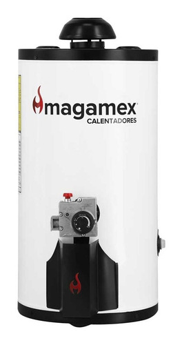 Calentador Magamex Arturito 38 Litros, Gas Lp/natural Boiler