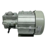 Motor Basculante Peccinin Gatter 1/4 Avulso 110v