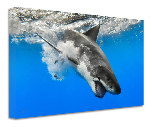 Cuadro Tiburones Océano Canvas Grueso Ctb3 140x90