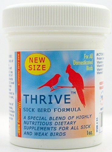 Morning Bird Thrive Fórmula Para Pájaros Enfermos 1 Oz