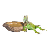 Comedero Bebedero Terrario Reptiles Iguanas Tortugas Erizos