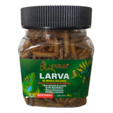 Premios O Snacks Para Reptiles Larva De Mosca Soldado 30grs