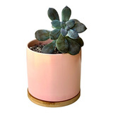 Maceta Cilindrica D11,5cm Con Plato De Bambu Color Rosa