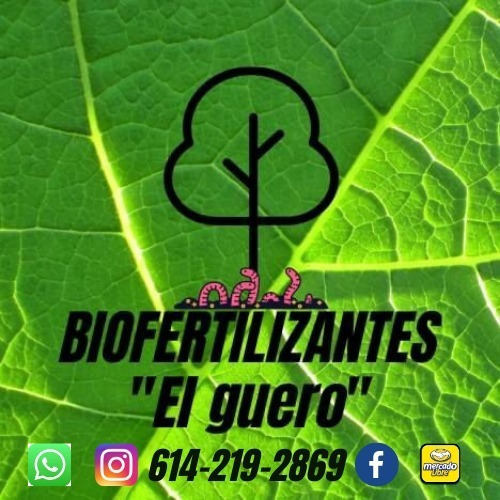 Fertilizante De Lombriz Roja Californiana (1 Litro)