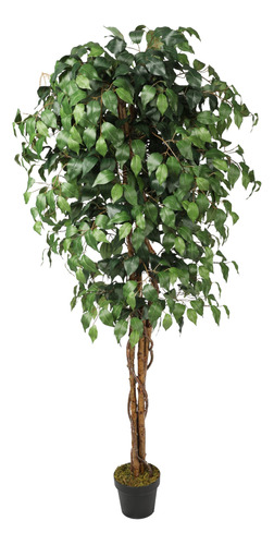 Ficus Benjamina 180 Cmdoble Tronco De Madera, Vadell Home