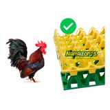 Kit 4 Charolas Filler 30 Huevos Gallo Gallina Miniatura