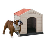 Casa Para Perro  Bull Dog  Termica Calor,frio, Lluvia