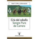 Cria Del Caballo Sangre Pura De Carrera - Valle Cesar D. Y