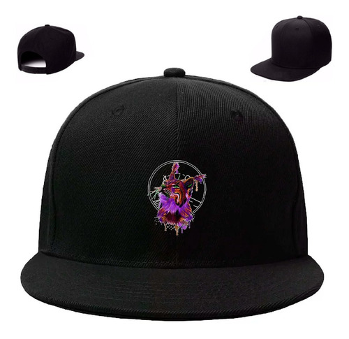 Gorra Plana Gato Pintura Art Felino Animales Inp Phn