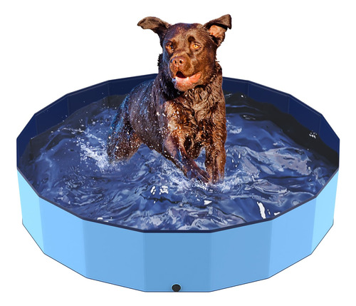 Piscina Plegable Para Perros Y Niños Pequeños De 37