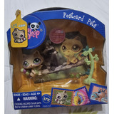 Lps Littlest Pet Shop #1354 Guaxinim Postcard Pets