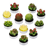 Velas De Té De Cactus, Mini Delicadas Plantas Suculentas