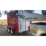 Trailer  2 Caballos Tecnar Mod Tce2 Patentable Cisne