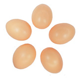 5 Huevos De Plástico Beige Falso Para Gallina