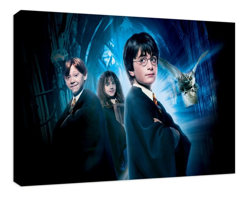 Cuadro Canvas Harry Potter La Piedra Filosofal Con Bastidor