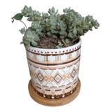 Maceta Tipo Vaso Decorado Para Suculentas Y Cactus 7,5 Cm