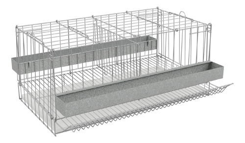 Gaiola Poedeira Para Codorna Desmontável Com Divisão