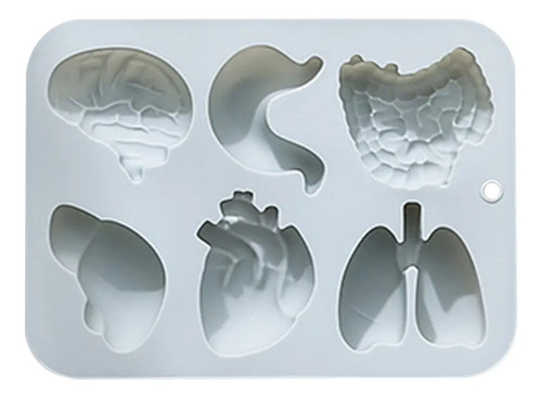 Cc Molde Silicona Para Órganos Con Forma Corazón Y Cerebr