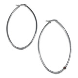 Par Argollas Ovalada 30 Mm Aros Aro Acero Quirurgico C:2475