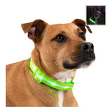 Blazin - Collares Luminosos Para Perros, Collar Led Original