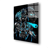 Cuadro Metalico Vegeta Versiones Dragon Ball Aluminio 30x40 