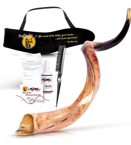 Shofar Kosher Kudu Original Totalmente Pulido De Israel