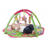 Gimnasio Para Bebe Playgro Bugs N Bloom Gym