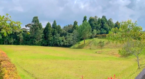 Hermoso Lote Santa Elena Vereda El Placer - Imagen 3